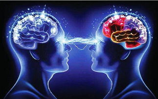 植物神經(jīng)紊亂的治療