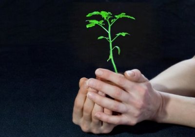 ֲ����(j��ng)�Ɂy���ί�