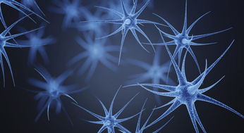 植物神經(jīng)紊亂的治療