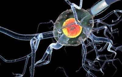 植物神經(jīng)紊亂的治療