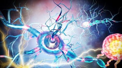 ���񼲲�����Щ